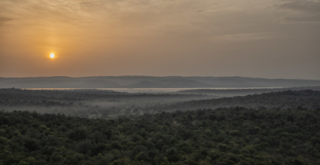 Savannah Sunrise